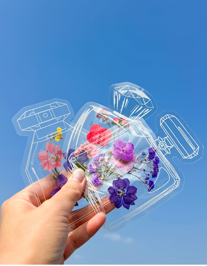 Tianse Transparent Dried Flower Bookmarks Handmade DIY Material Kit Leaf Specimen Laminated Plant Pressed Petals Back to School Set 20 Sheets TS-6132 18