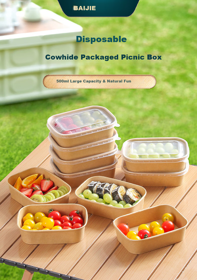 BJ Disposable Food Containers, Round Takeout Boxes, Thickened with Lids, Food Grade, Microwave Safe, 750ml*20 Sets 1