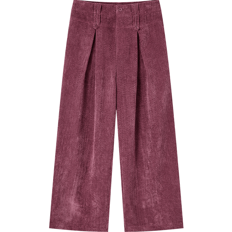 Demana Pear-Shaped Autumn Warm Plush Chenille Pleated Elegant Petite Wide-Leg Women's Casual Pants