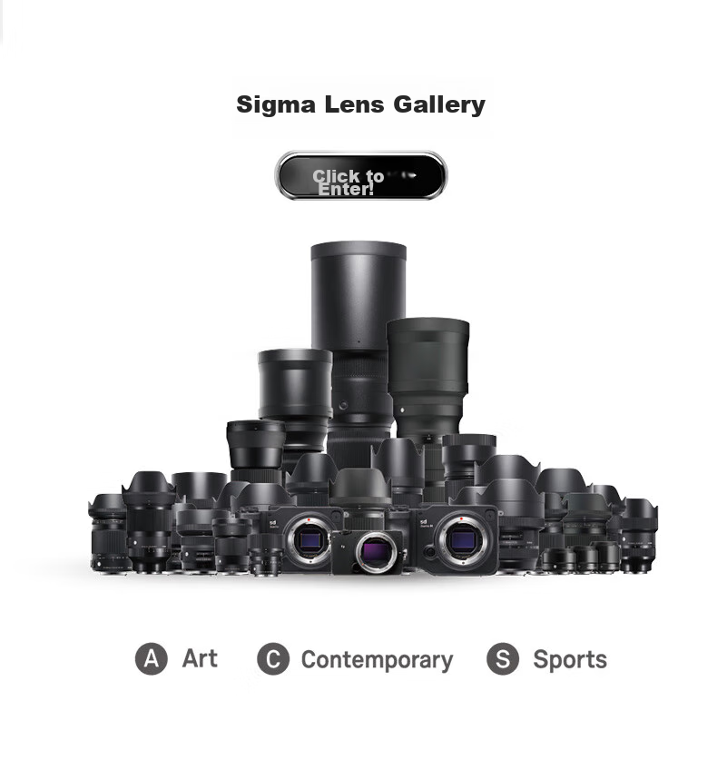 SIGMA 28-70mm F2.8 DG DN | Contemporary Full-Frame Mirrorless Camera Standard Zoom Lens for Portraits, Travel And Live Streaming (Sony E-Mount) 15