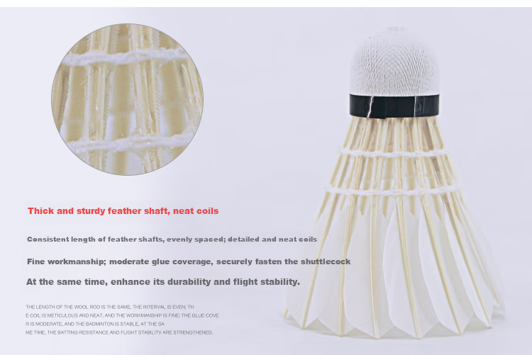 DHS Badminton Shuttlecocks, Beginner Practice Training, Affordable 6-Pack Per Tube 5