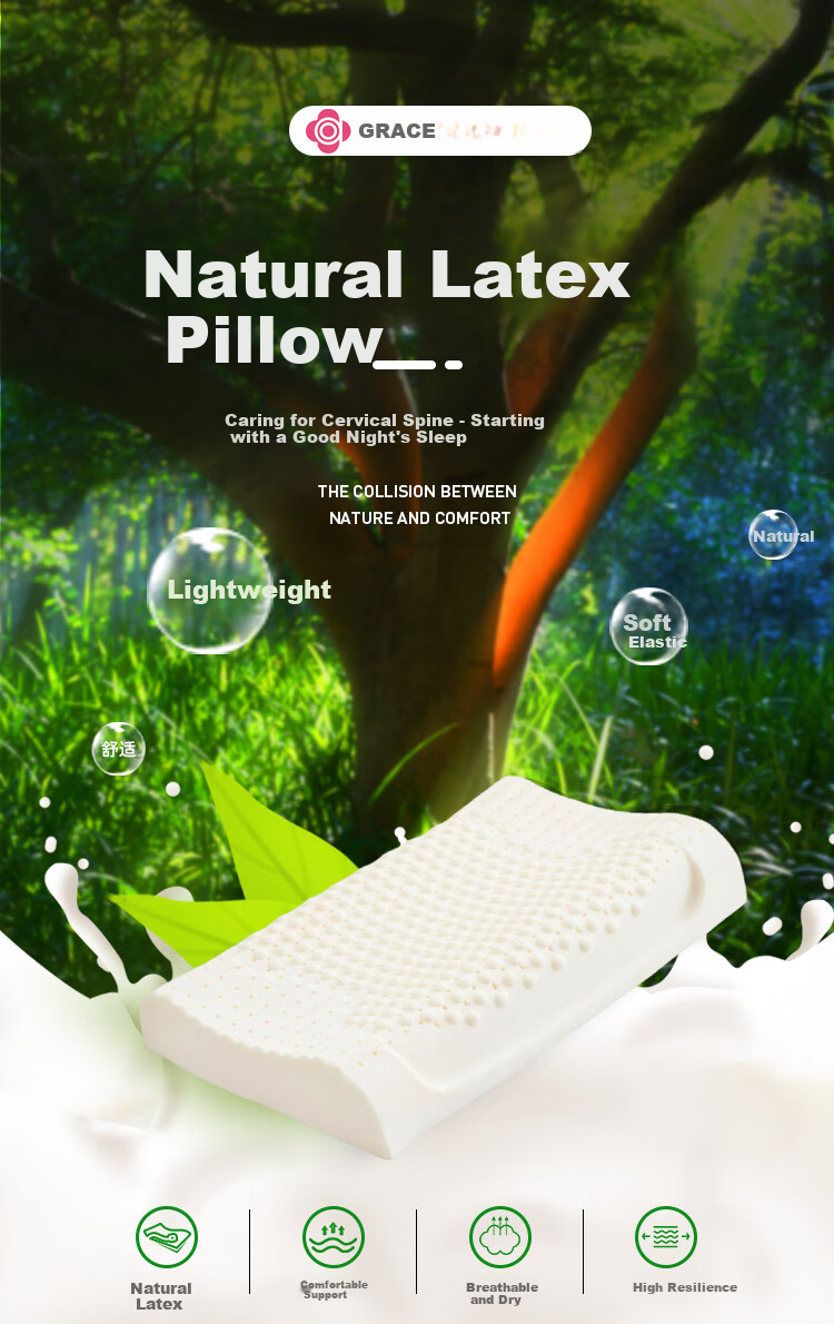Grace Latex Pillow, Shaped Pillow, Latex Student Dormitory Pillow, Single One (Including Inner And Outer Covers) 1