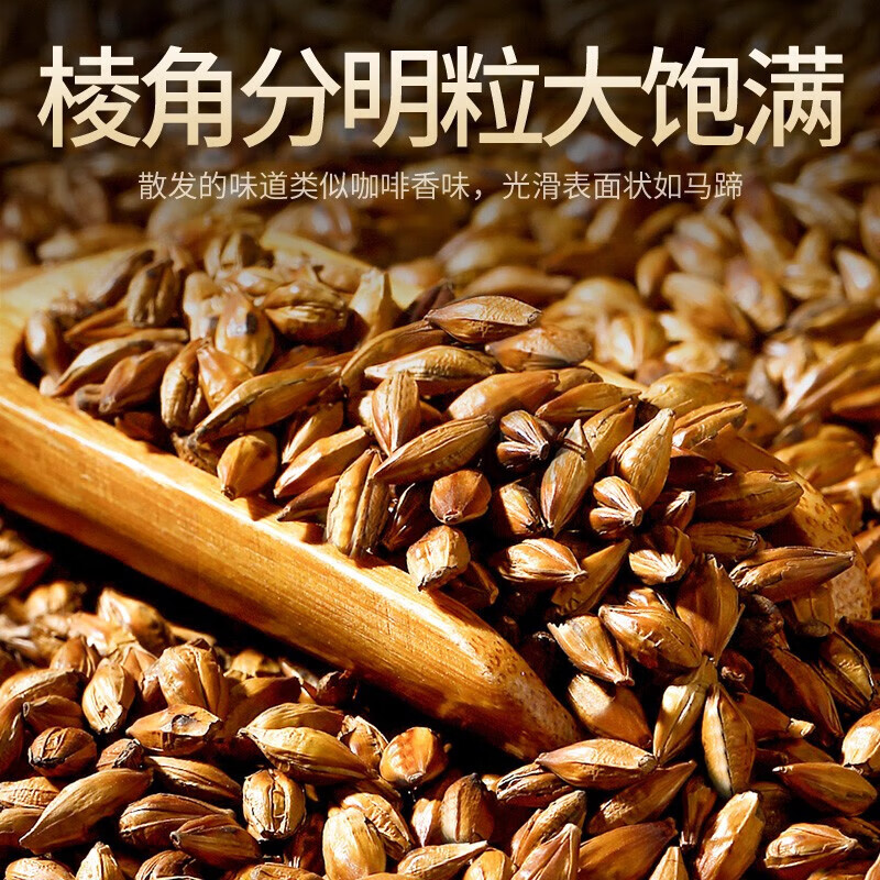 贡苑【实惠装大份量】大麦茶900g原味烘焙谷物回饭店用奶宝养生花茶包