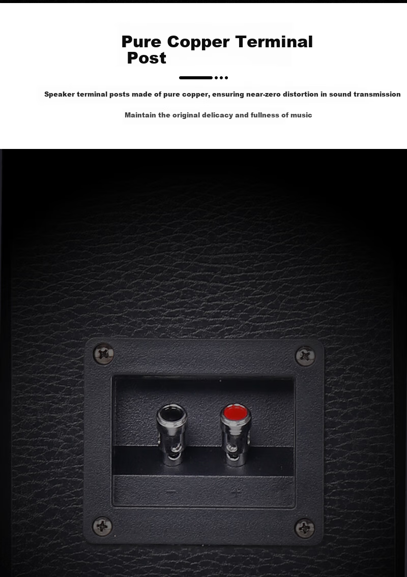 SAST K3 10-Inch Passive Speakers for Conference Rooms, Home KTV Living Room Background Music, Wall-Mounted Speakers, One Pair 8