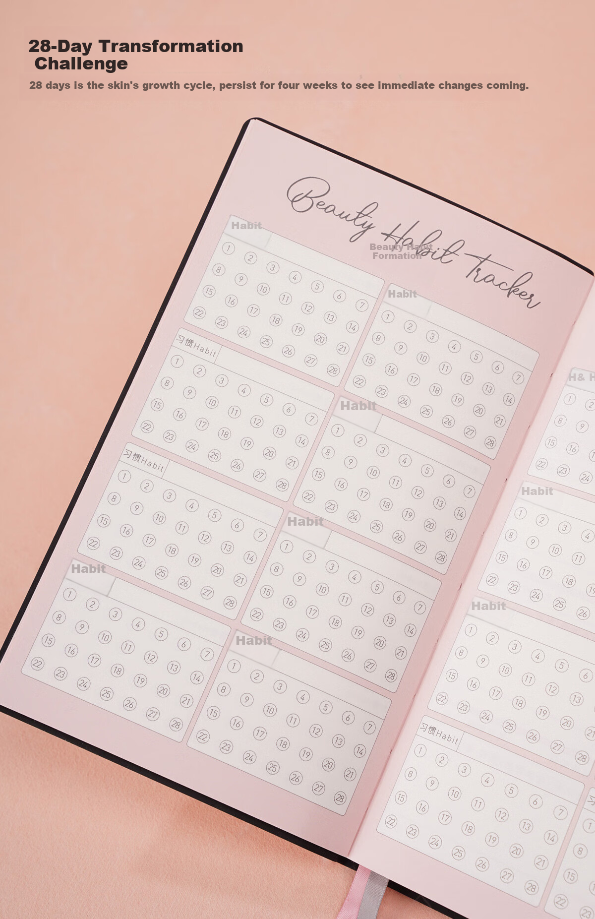 Chenzao Early Bird Series Original Hand-Drawn Beauty Manual, Makeup Tutorial Step Record Book, Beauty Habit Formation Check-In Journal, 240 Pages 8