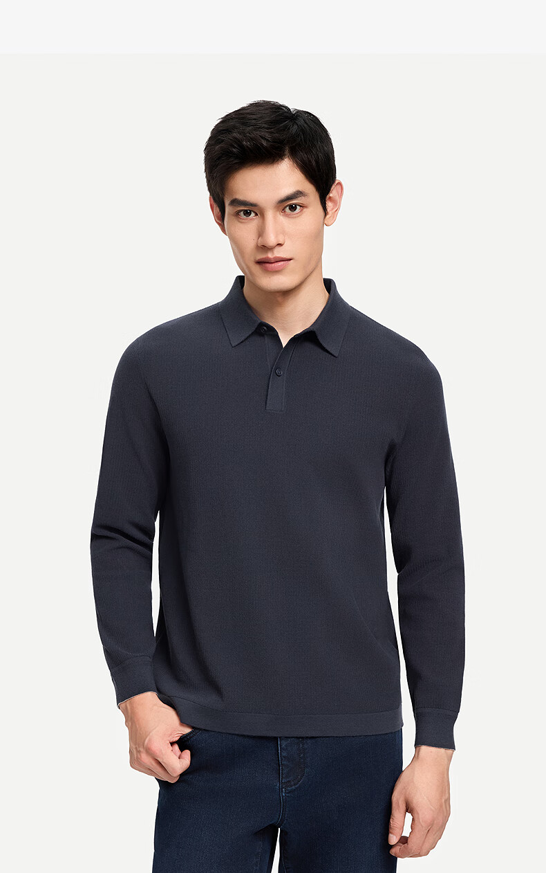 Goldlion Wool Blend Autumn Winter Long Sleeve Knit Sweater Men Solid Color Fashion Textured Pullover Blue Gray XL 30