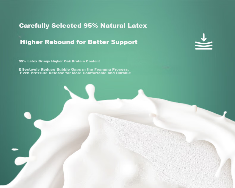 JaCe Thai Imported Latex Pillow, Bread-Shaped Cervical Pillow, 96% Natural Latex Content 8