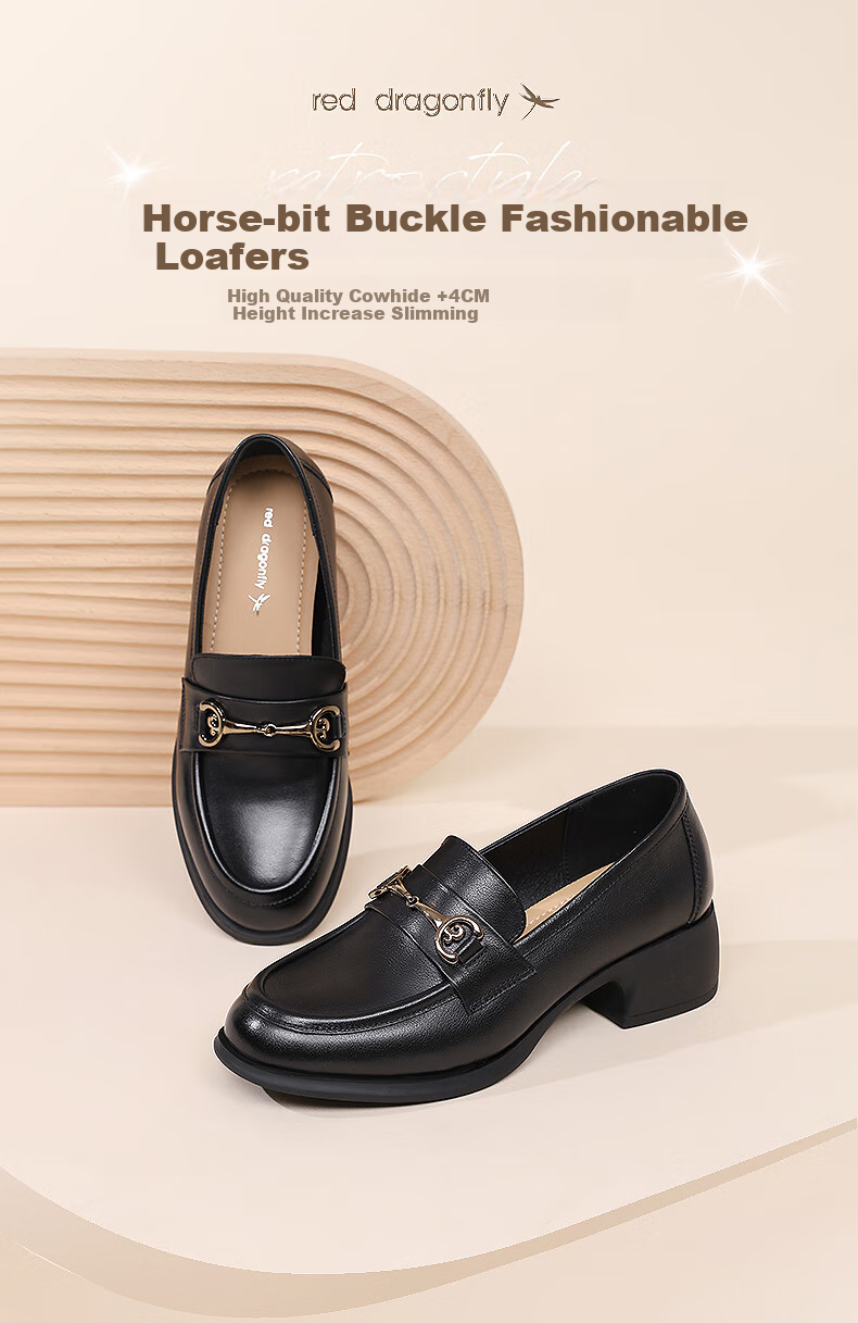 RED DRAGONFLY Women's Loafers with Chunky Heel, French-Style Leather Shoes, Versatile Commuter Shoes for Women, Mom's Flats WTB152791 Black Size 40 1