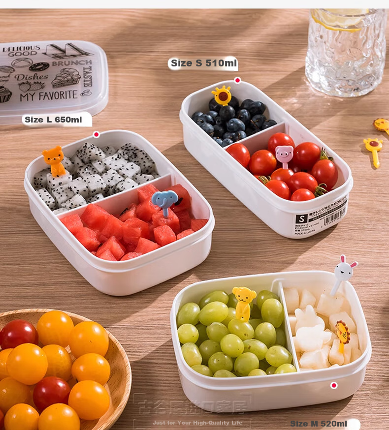 KATEI STORY Imported Fruit Box, Portable Lunch Box for Elementary School Students, Food-Grade Bento Box, Fresh-Keeping Container, Small Lunch Box, Nut Box, Sealed Container 5