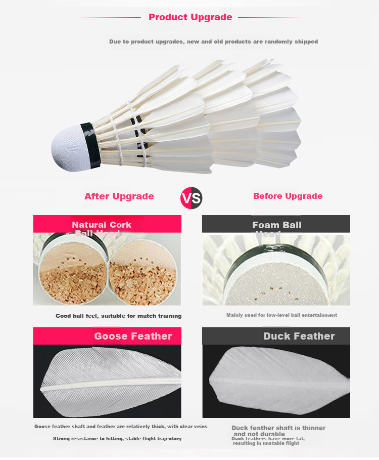 DHS Badminton Shuttlecocks, Beginner Practice Training, Affordable 6-Pack Per Tube 2