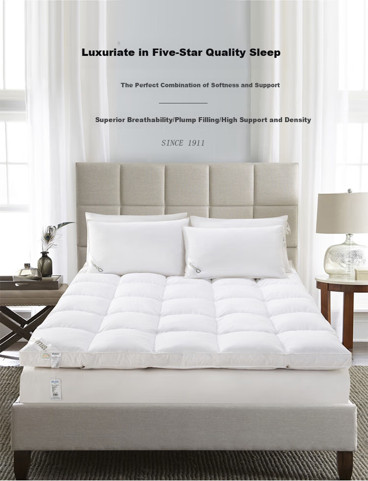 Downia Mattress, All-Cotton Goose down Mattress Pad, Breathable Tatami Goose down Mat, Filled with 2.5kg, for A 1.5-Meter Bed 2