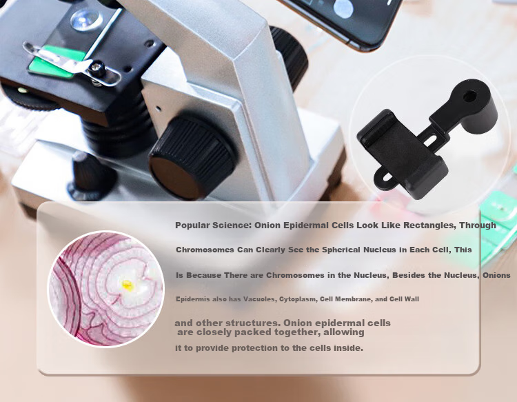 Bresser 88-55030 Microscope, Professional Student Biology Experiment, 1600x High-Definition, with Moving Scale, New Year Gift 17