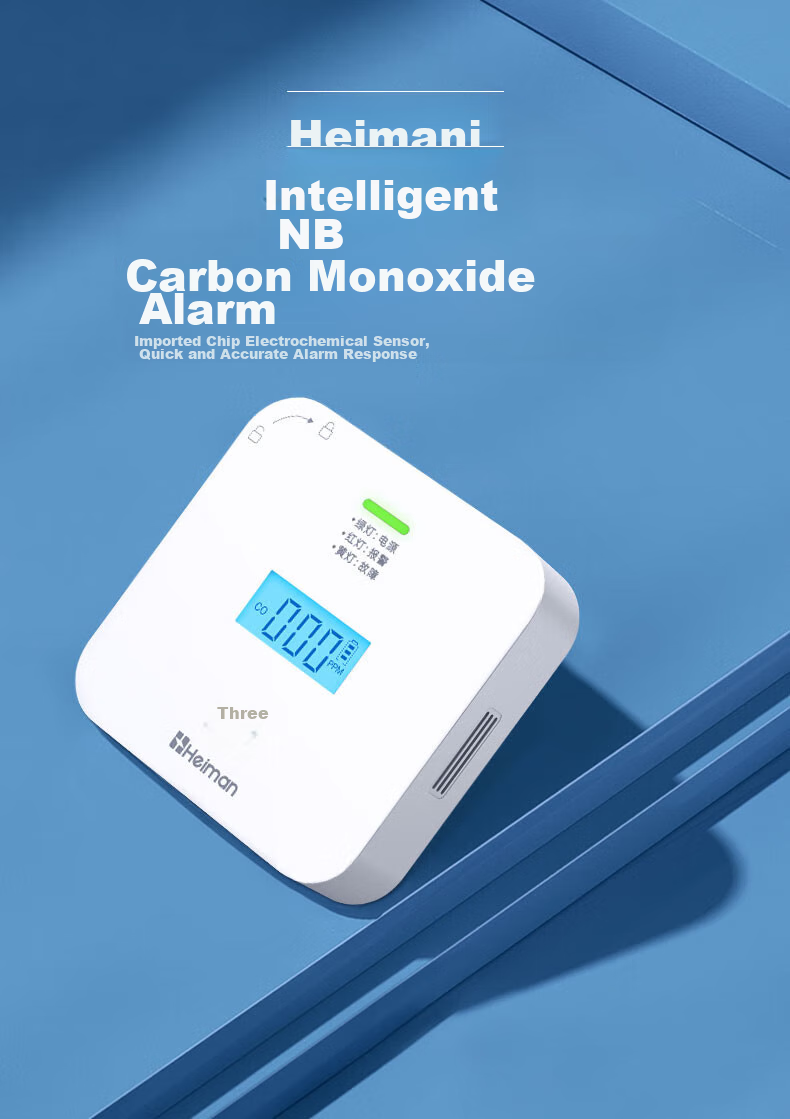 HEIMAN Intelligent Carbon Monoxide Alarm Detector for Indoor Boilers, Coal Smoke, CO Outdoor Coal And Gas Leak Detection Instrument 1