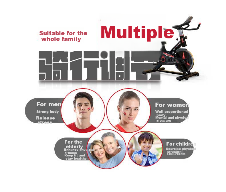 DDS Indoor Exercise Bike, Home Fitness Equipment, Stationary Bicycle, Pedal Bike 9301 10