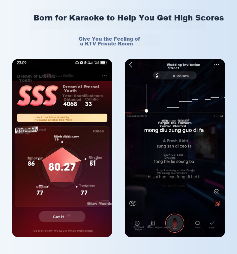 WITGOER [Noise-Cancelling Anti-Spray Microphone] Karaoke Wired Headphones, Lightning Singing Recording Mobile Phone Microphone, Direct Streamer Microphone with Built-In Sound Card, Suitable for Quanmin Changba 2