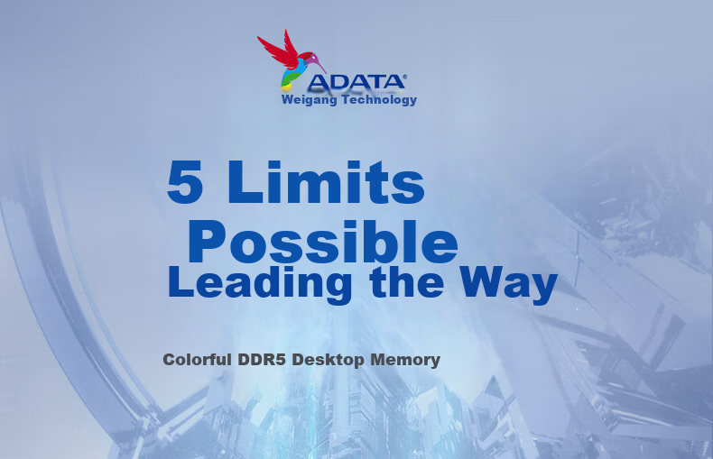 ADATA 16GB DDR5 5600 Desktop Memory Module Wanziqianhong 2