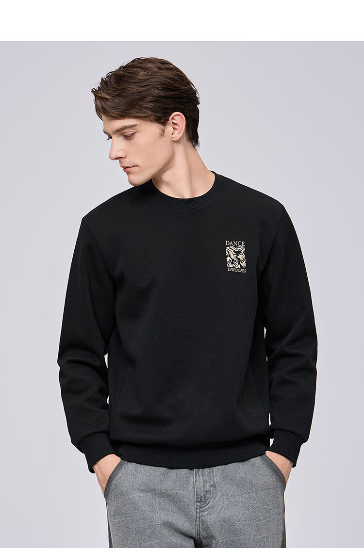 DANCING WOLVES [7A Antibacterial & Anti-Static] Exquisite Embroidery, Durable, Easy-Care, Skin-Friendly Comfortable Men's Sweatshirt, 503 Purple 5