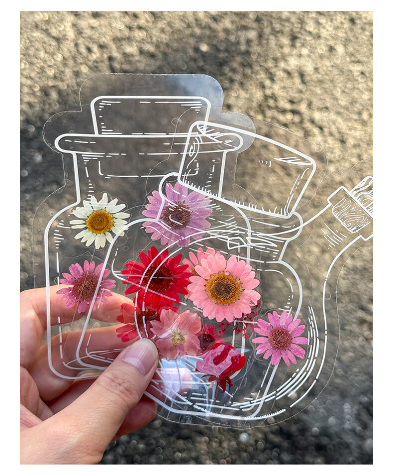 Tianse Transparent Dried Flower Bookmarks Handmade DIY Material Kit Leaf Specimen Laminated Plant Pressed Petals Back to School Set 20 Sheets TS-6132 23