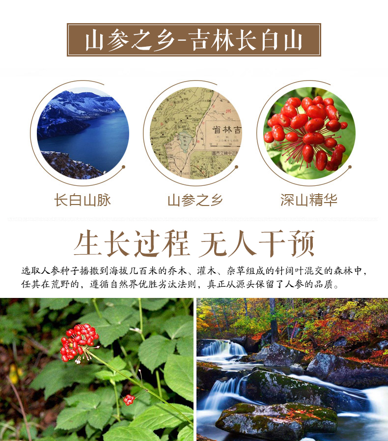2019林下参礼盒_05.jpg