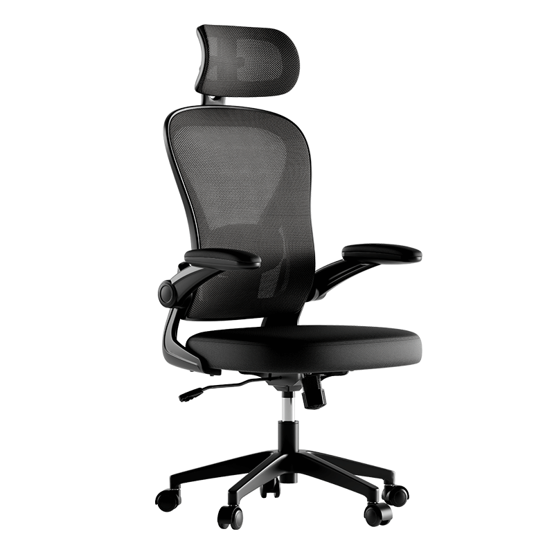 Deli KF269 Ergonomic Chair with Folding Armrests, Adjustable Lumbar Support, Black