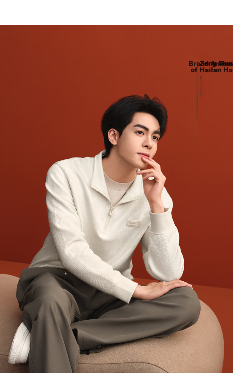 HLA Sweatshirt for Men, Zeng Shunxi's Style, Autumn Season, Irregular Texture, Stand-Up Collar, Long Sleeve, for Me 2