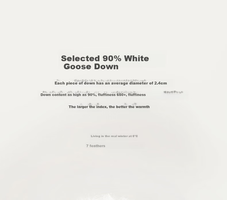 Interlagos Class A 90% White Goose Down Comforter, Imported from Japan, Air Conditioning Quilt, 280g, 200*230cm, White 16
