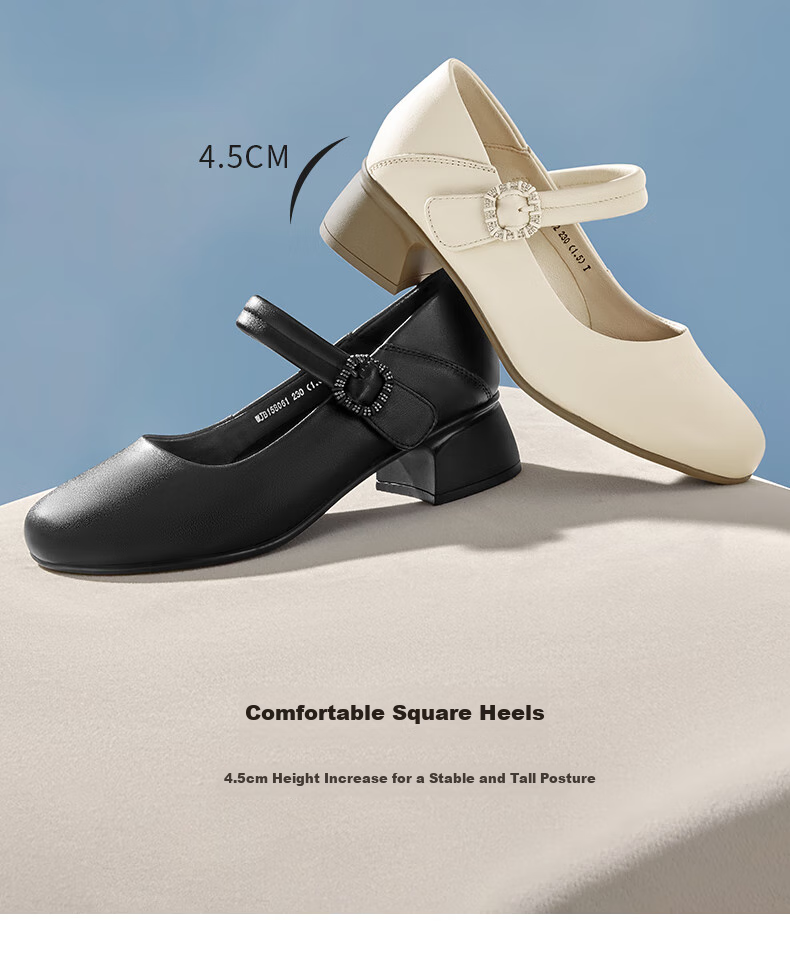 RED DRAGONFLY Shallow Women's Flats, Spring Women's Shoes, Mary Jane Thick Heel Comfortable Women's Shoes WJB15806 Beige 40 6