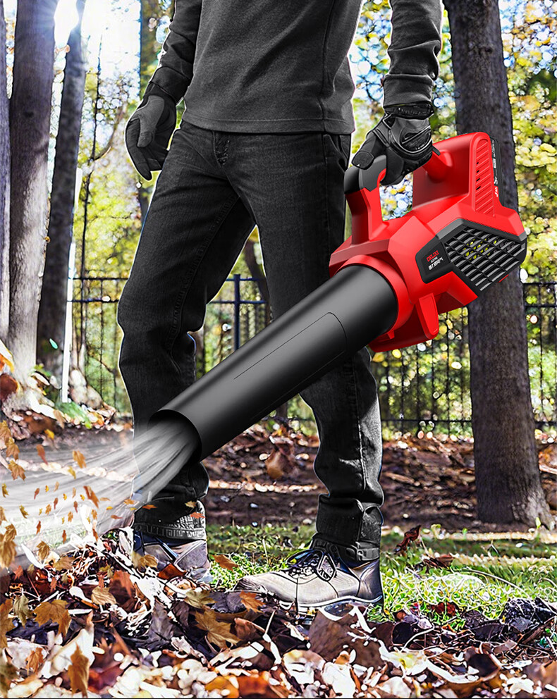 DELIXI ELECTRIC Lithium Battery Hair Dryer Industrial High-Power Fan Rechargeable Blower Snow Blower Dust Removal Household Electric Blowing Tool 7
