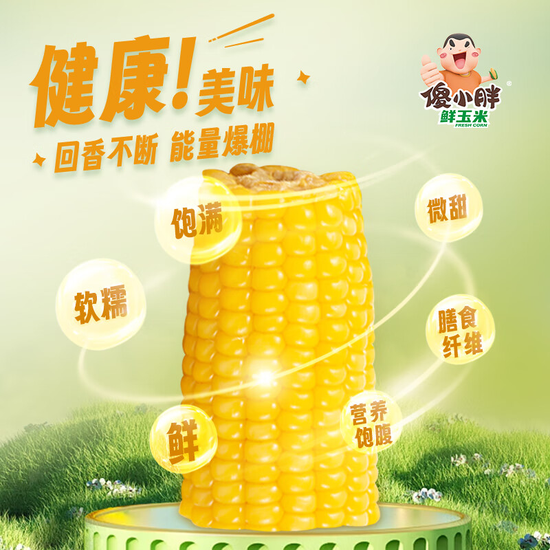 傻小胖  甜糯玉米 真空 早餐粗粮 微波即食 礼盒 黄糯10支装2kg/箱