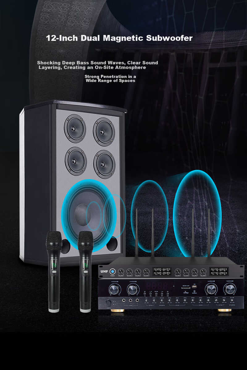 SAST K3 10-Inch Passive Speakers for Conference Rooms, Home KTV Living Room Background Music, Wall-Mounted Speakers, One Pair 5