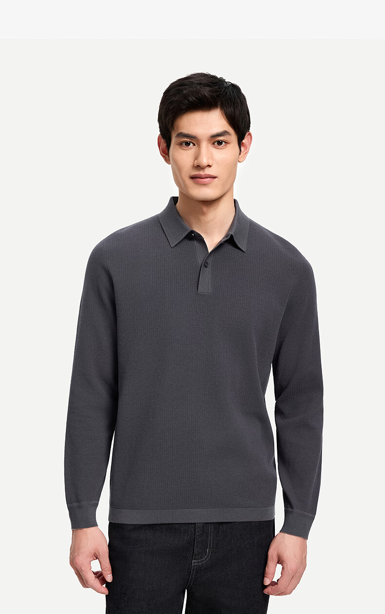 Goldlion Wool Blend Autumn Winter Long Sleeve Knit Sweater Men Solid Color Fashion Textured Pullover Blue Gray XL 31