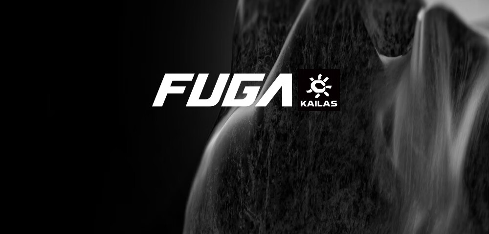 KAILAS FUGA EX3 Breathable Cushioning Grip Non-Slip Low-Cut Trail Running Shoes for Men 10