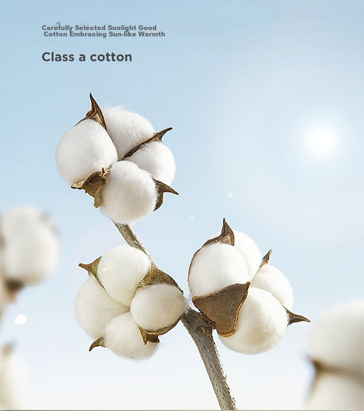 I-WILL Buckwheat Pillow for Student Dormitory Or Home Use, All-Cotton Composite Neck Support Low Pillow, Single Pack, 48*74cm 6