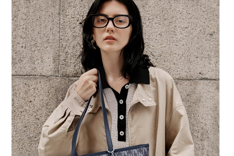 NUCELLE Angelababy's Duck Tote Bag, 2026 Light Luxury Niche Commuter Shoulder Bag for Women, Birthday Gift 2