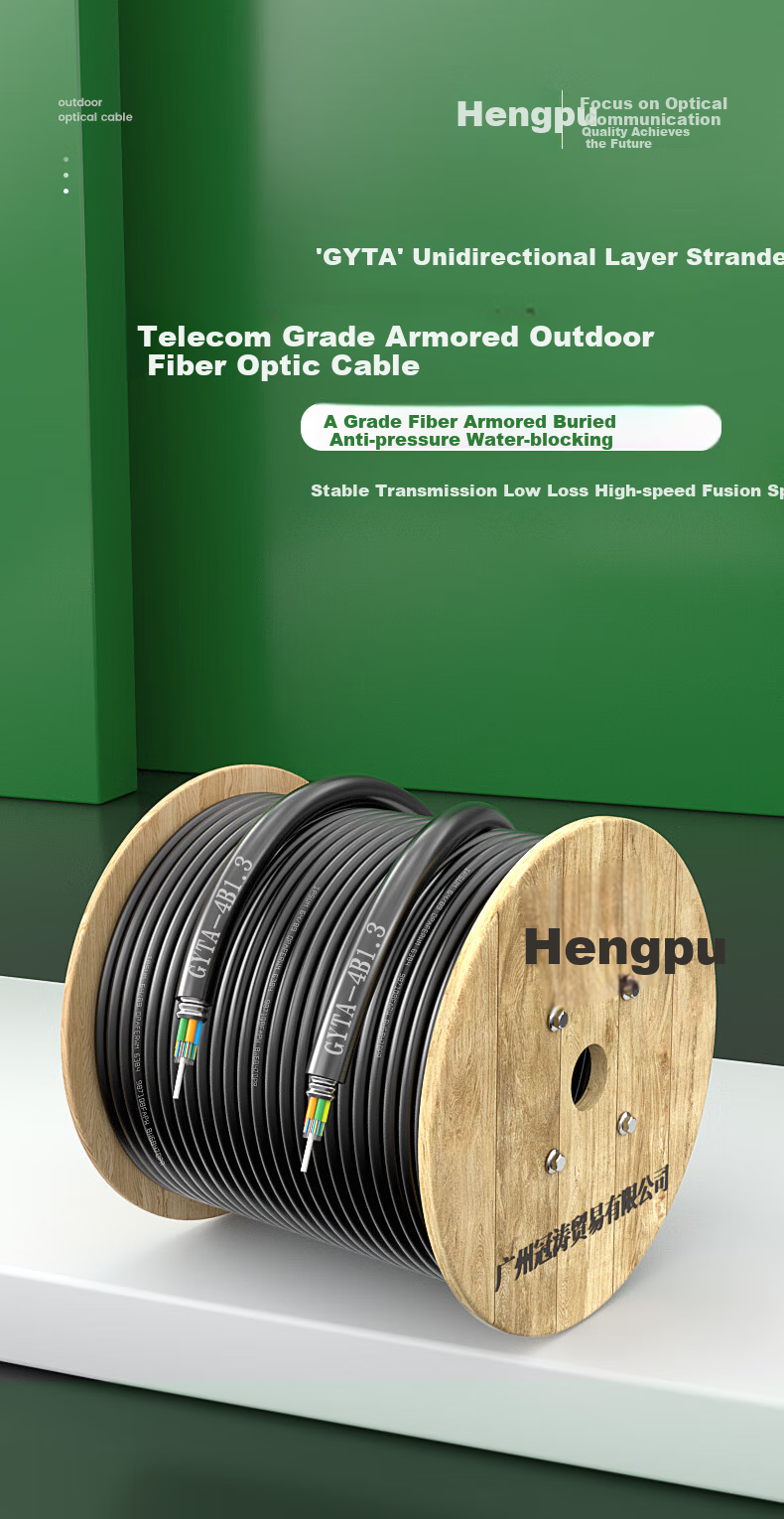 Hengpu GYTA Armored Single-Mode Outdoor Optical Cable, 4-Core Optical Cable, Four-Core Communication Fiber Optic Cable, Layer-Braided Outdoor Overhead/pipeline, 1 Meter HP-GYTA 1