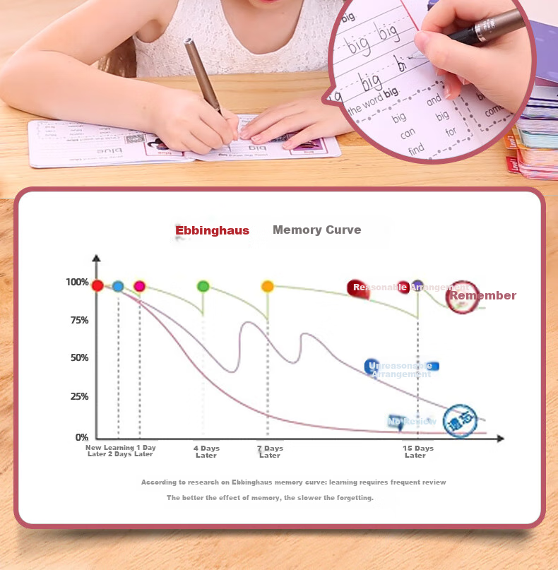 Shalin SAALIN English Enlightenment, 220 High-Frequency Words Flashcards, Children's Toy Sight Words for First Grade 10