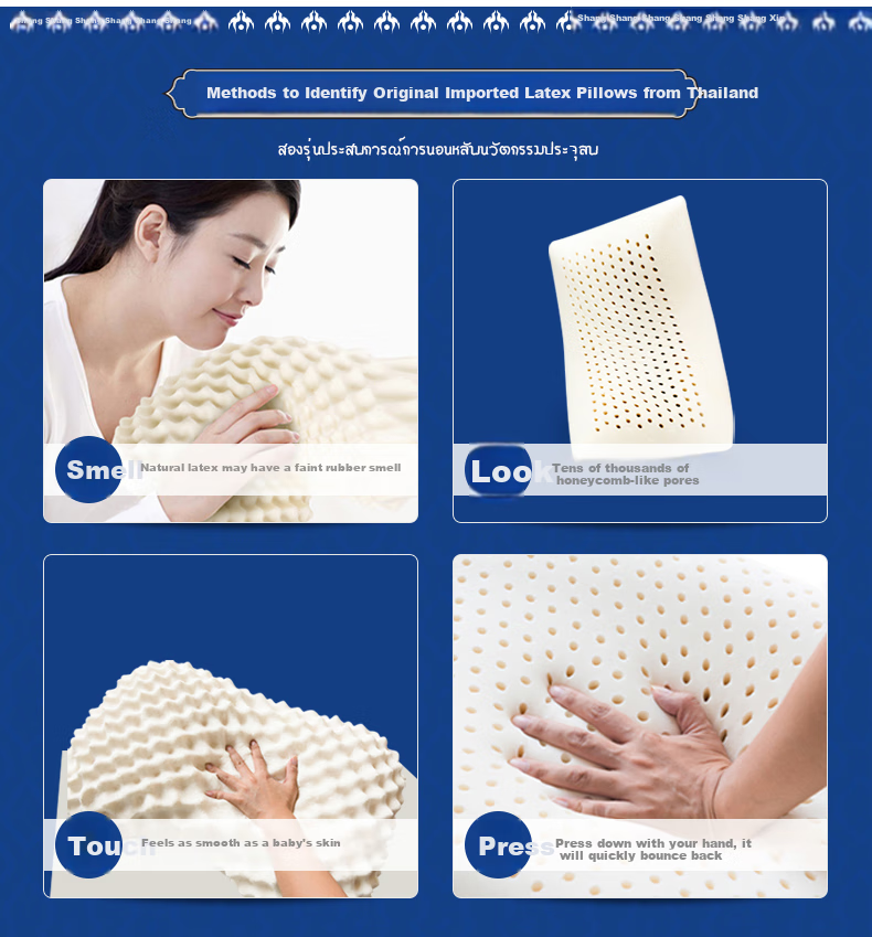 Paratex Children's Latex Pillow, Imported from Thailand with 94% Latex Content, Anti-Mite And Antibacterial for Students, Pillow for Children Aged 2-8 Years 20