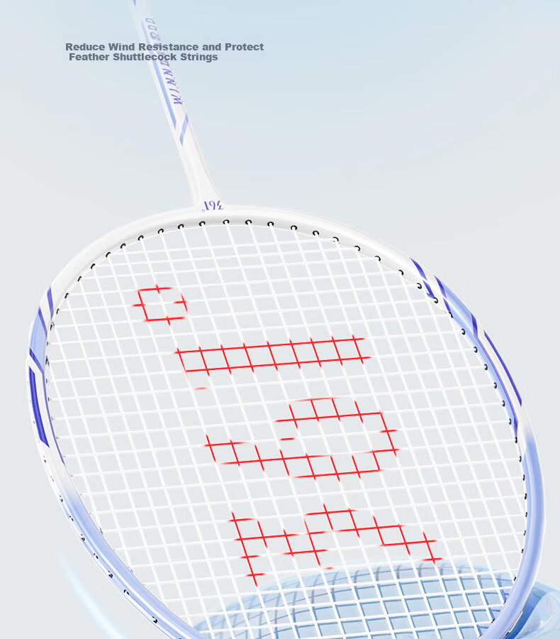 361° Badminton Racket Zhufeng 580 Series, Ultra-Light And Durable, Double Rackets for Training And Competition, Pre-Strung Set, Blue-Gree 4