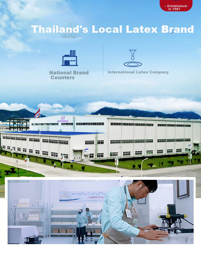 Paratex Direct Import from Source 94% Latex Mattress, Thai Imported Natural Latex Mattress, 1.5x2 Meters 3