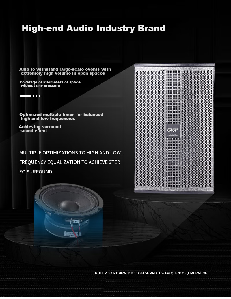 SAST K3 10-Inch Passive Speakers for Conference Rooms, Home KTV Living Room Background Music, Wall-Mounted Speakers, One Pair 6