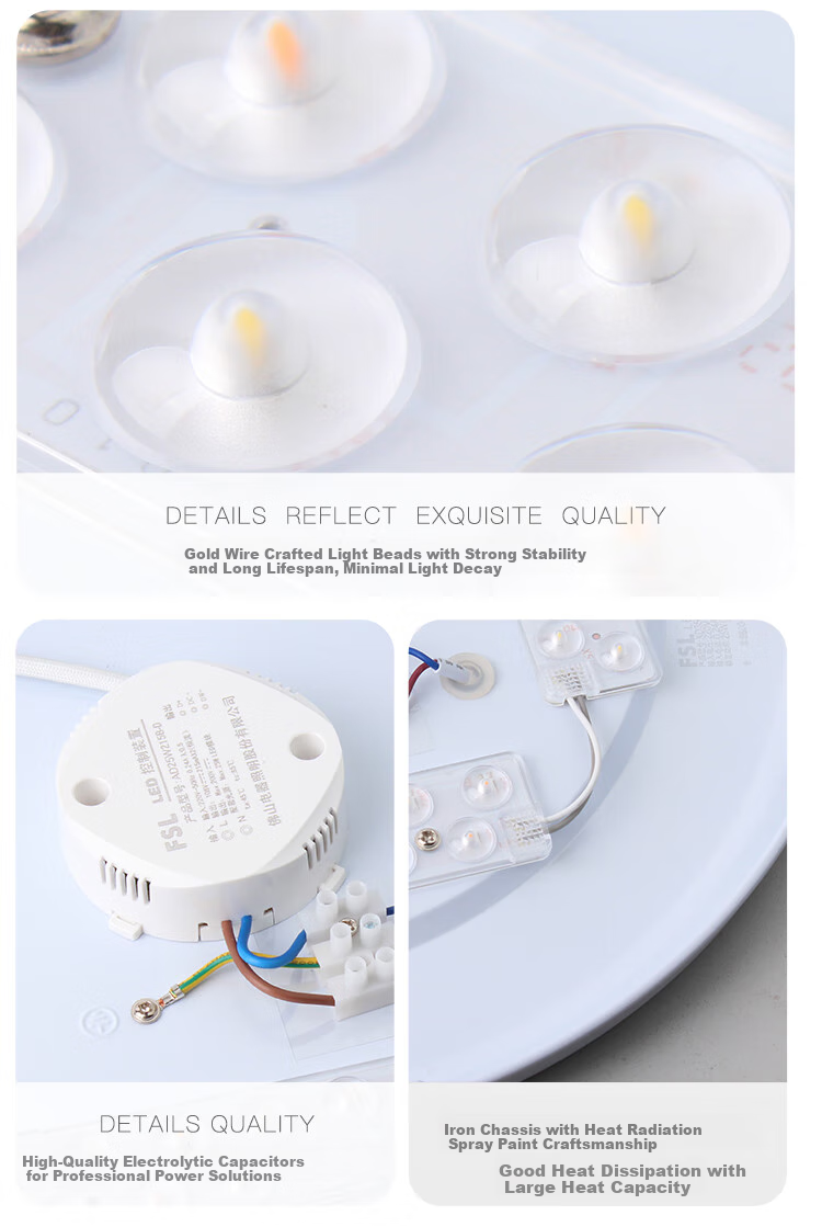 Foshanzhaoming Full-Spectrum Eye-Protection Ceiling Light, Photocatalyst Bedroom Lamp, High Ra97, Gentleman Black, 36W 19