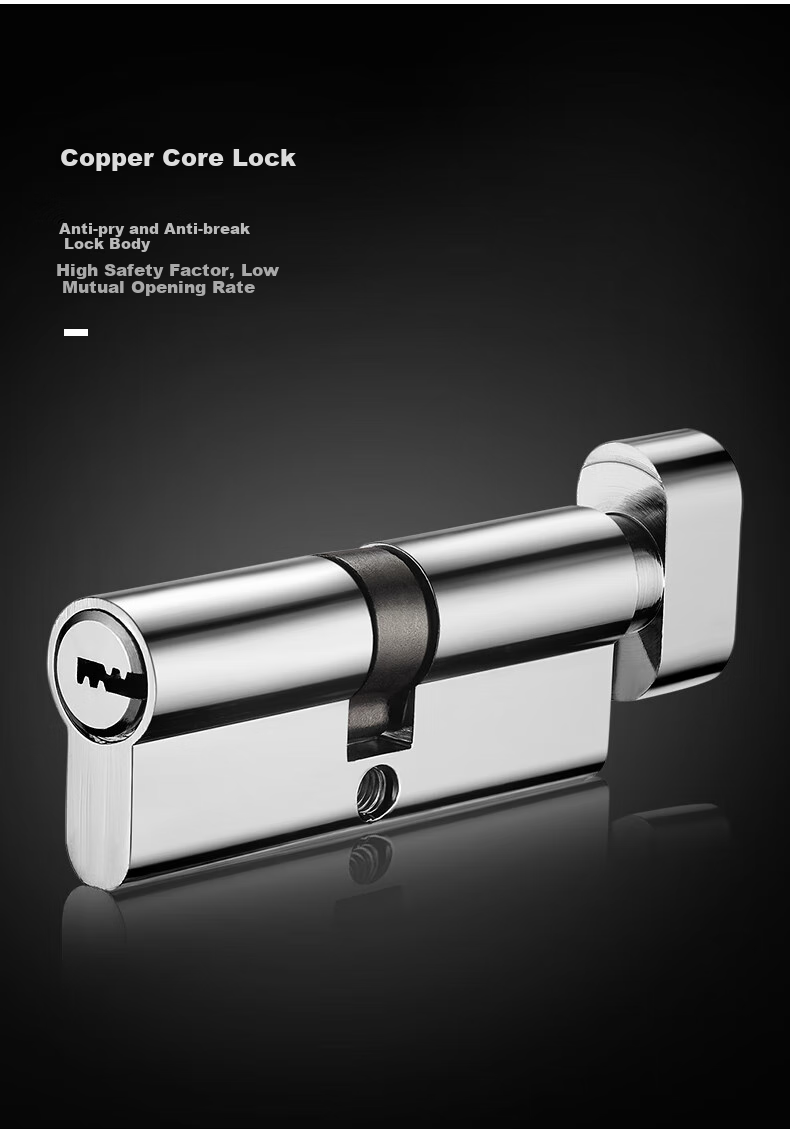 Fly.Globe Door Lock, Interior Bedroom Door Lock, Anti-Theft Stainless Steel Lock, Solid Wood Door Handle K170 10