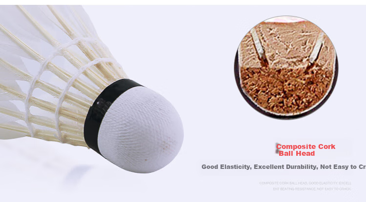 DHS Badminton Shuttlecocks, Beginner Practice Training, Affordable 6-Pack Per Tube 6