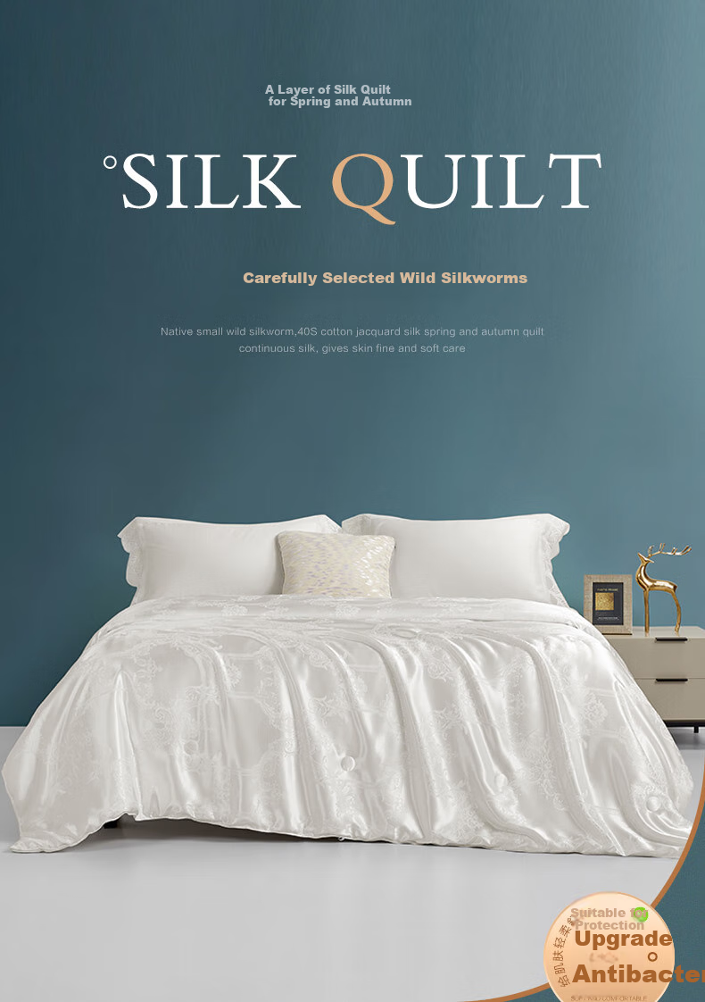 BEYOND Home Textiles 100% Silk Duvet, Antibacterial Silk Spring And Autumn Comforter, Approximately 2.7 Jin (1.35 Kg), 150*210cm 1