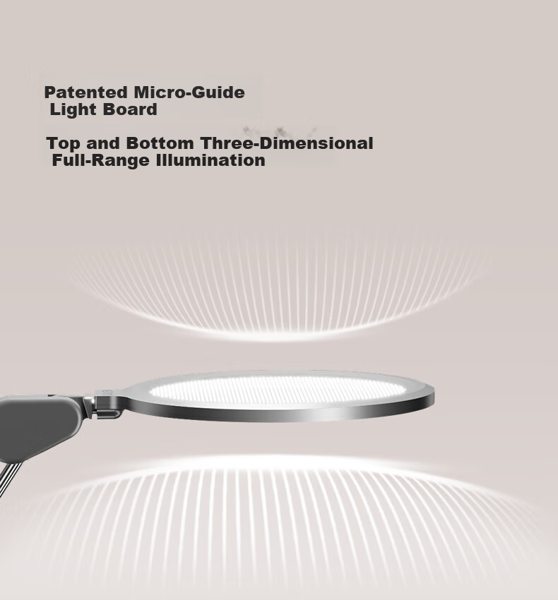 Dalun Eye Protection Desk Lamp, National AA-Grade Full Spectrum Eye Care Light, for Students' Study And Reading, T3PRO+ 4