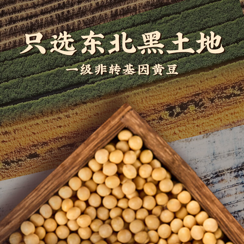 李锦记 黄豆酱800g 非转基因黄豆 传统酿造 炸酱面拌焖炖炒 调味酱料