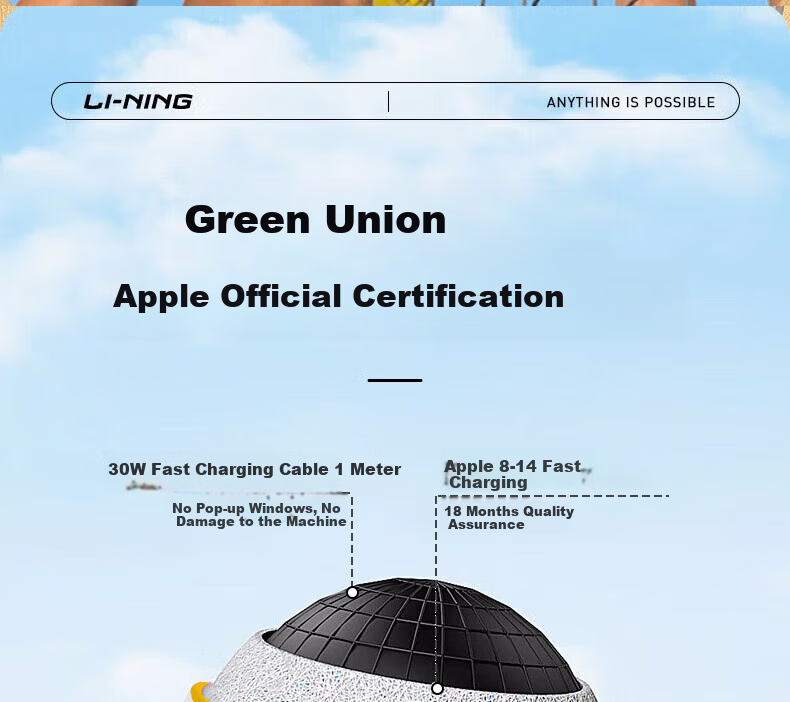 Li-Ning Volleyball Size 5 for Middle School Entrance Exam, Specialized for Teenagers And Adults, Hard Shell Soft Leather Training Standard Exam Ball for Men And Wome 6