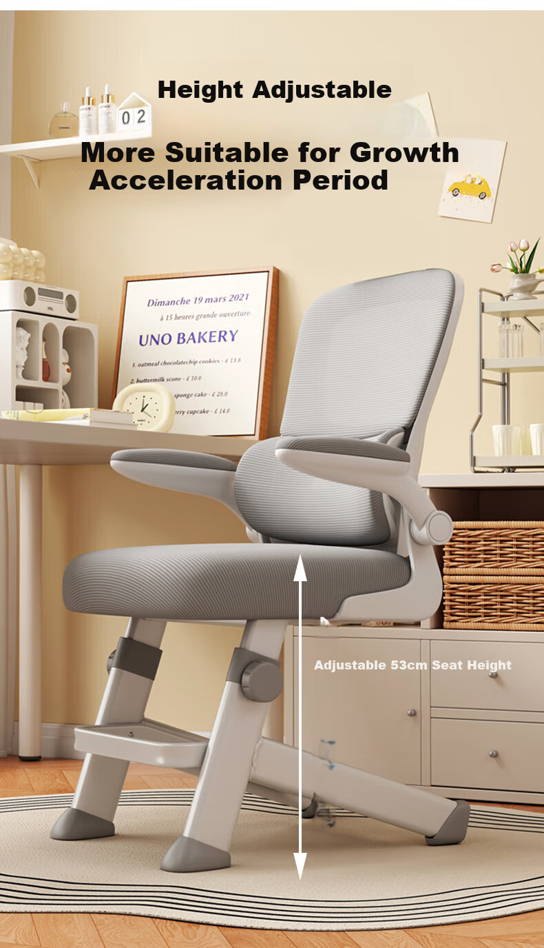 Zhuobo Computer Chair, Home Study Chair, Adjustable Height Chair, Seat Chair with Backrest, BT25 Gray, Height Adjustable 3