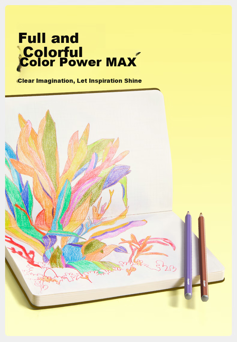 Kasimir Erasable Colored Pencils for Students' Art And Drawing, Professional Hand-Drawn Colored Pencils Set of 12 Colors for Beginners' Art Supplies 4