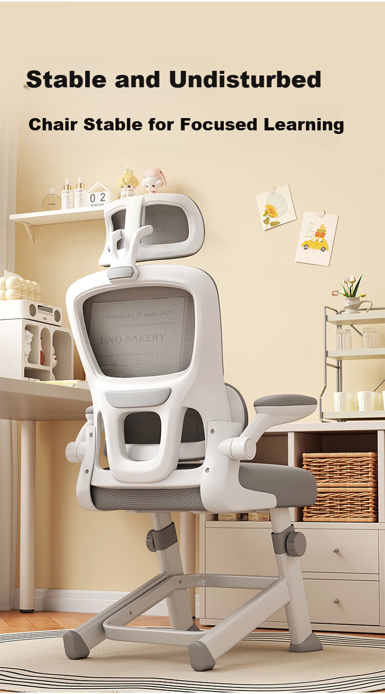 Zhuobo Computer Chair, Home Study Chair, Adjustable Height Chair, Seat Chair with Backrest, BT25 Gray, Height Adjustable 1